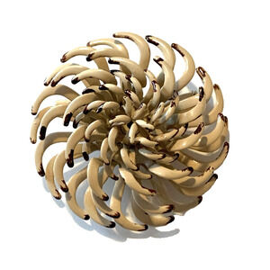 Vintage 1960s Chrysanthemum Flower Brooch Beige Tan Brown Tipped Enamel Mum Pin